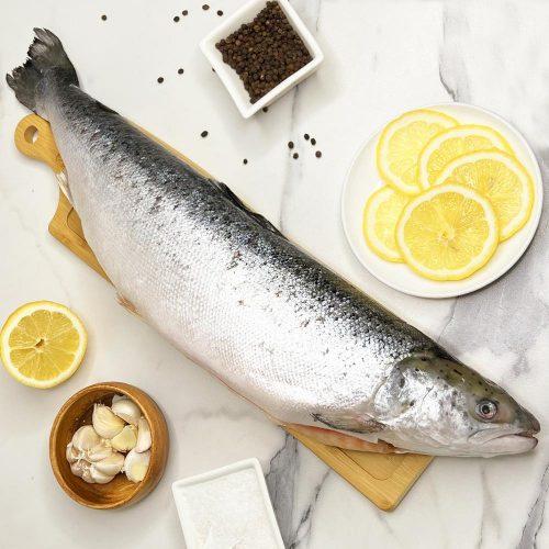 Морепродукты - икра, краб, рыба, креветки с доставкой по Москве