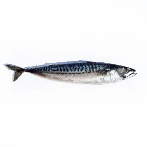 Морепродуктов - икра, краб, рыба, креветки с доставкой по Москве