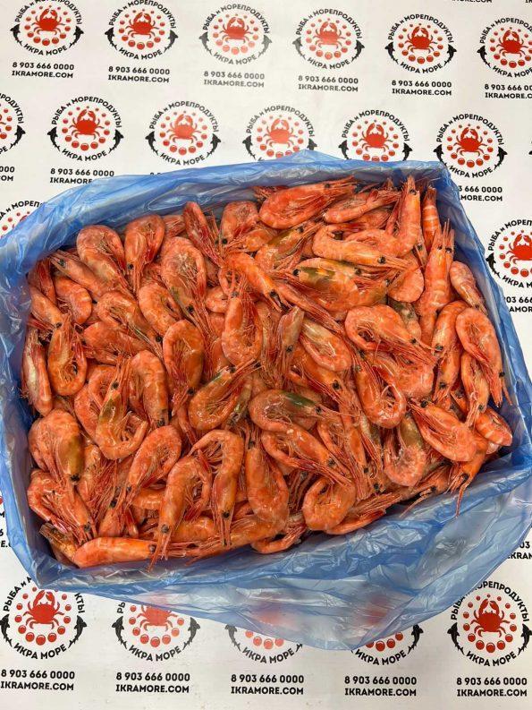 Акции - Морепродукты оптом и в розницу с доставкой по Москве и МО