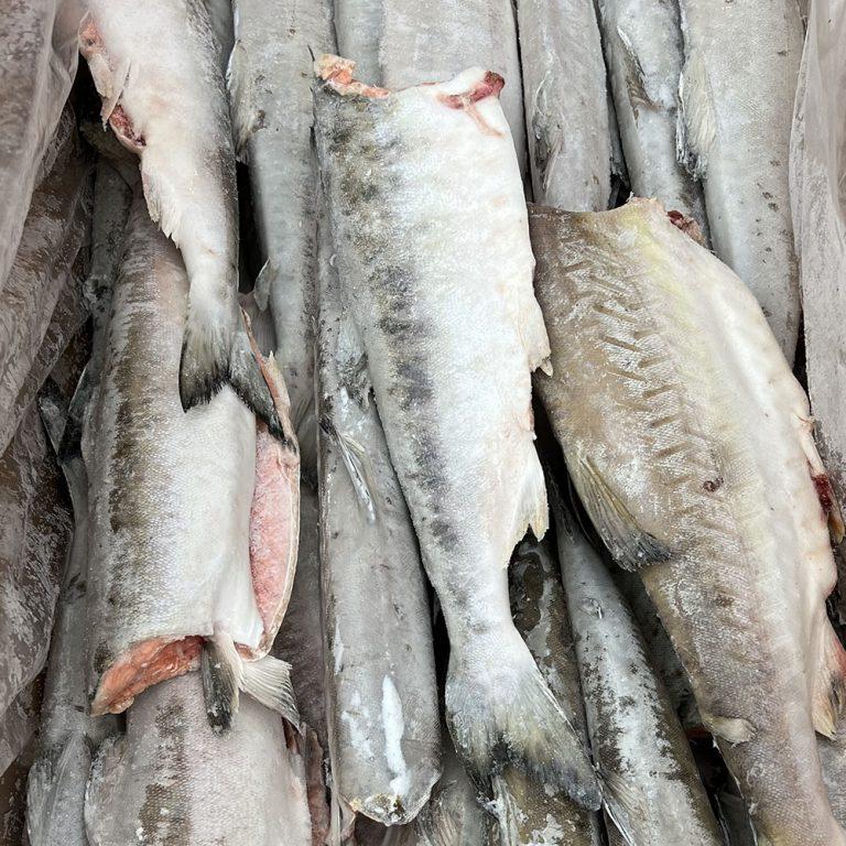 Акции - Морепродукты оптом и в розницу с доставкой по Москве и МО