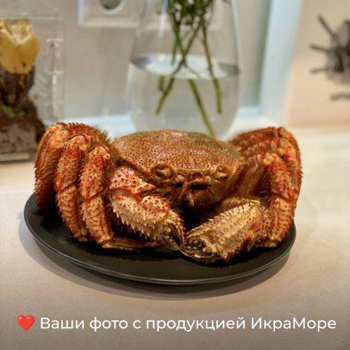 волосатик_99-