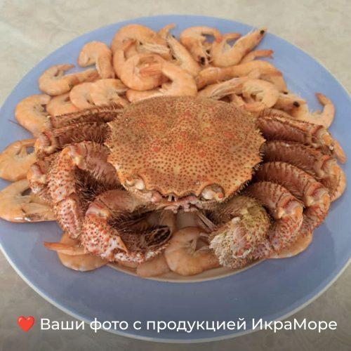 волосатик_99–