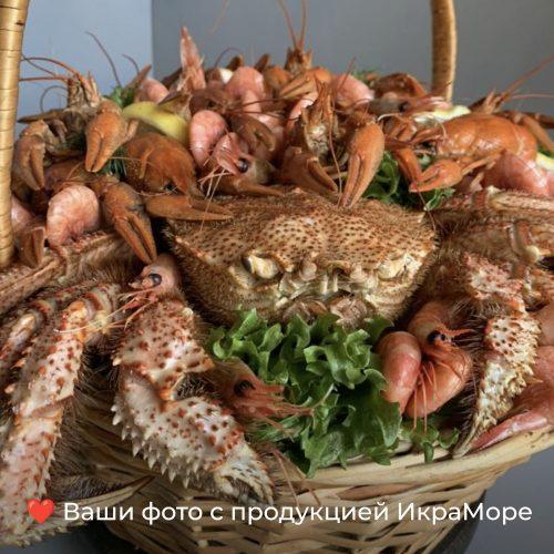 волосатик_99—